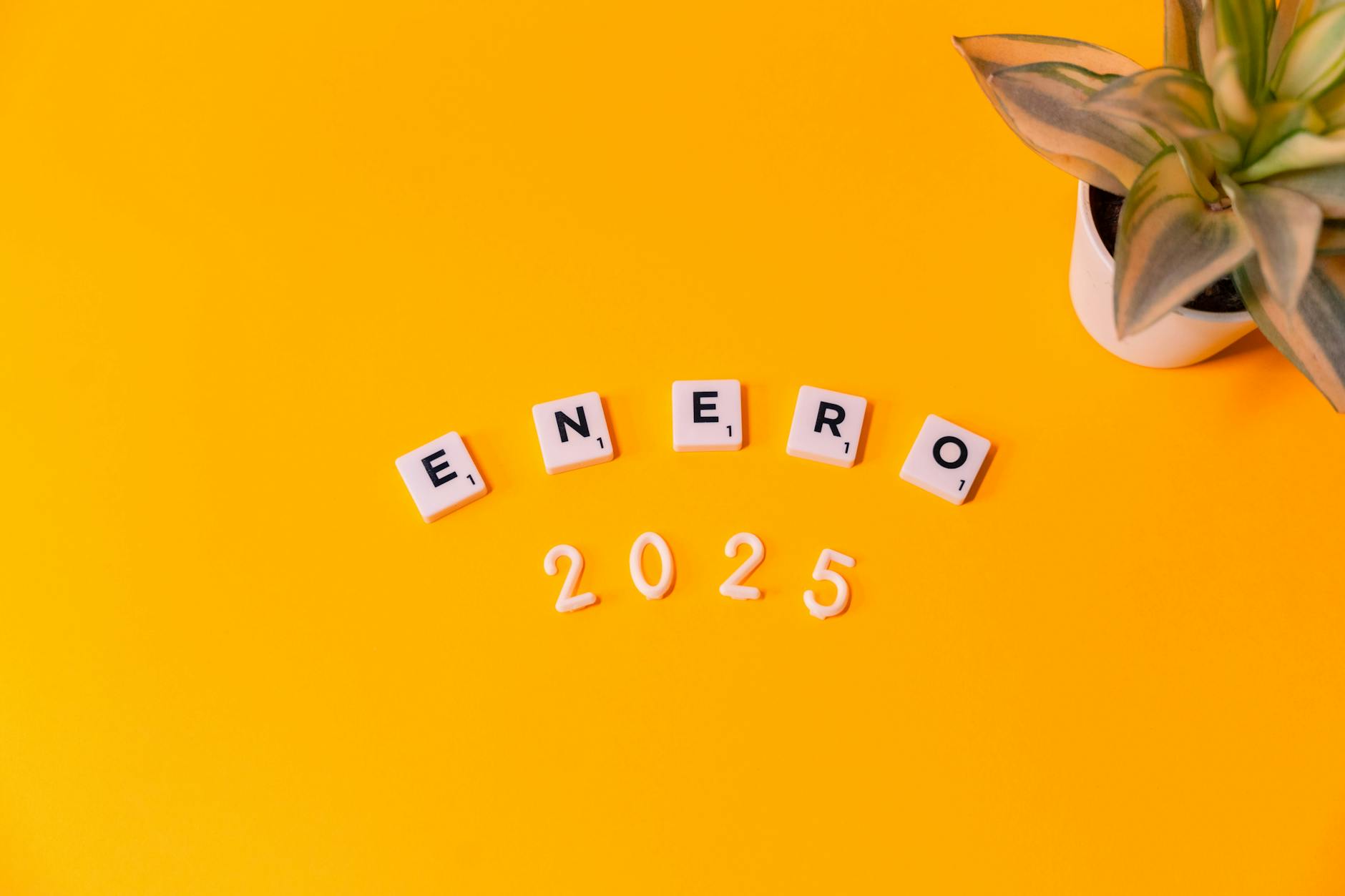 Analiza budżetu Brzegu na 2025 rok – dochody, wydatki i nadwyżka finansowa